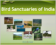 bird sanctuaries of India